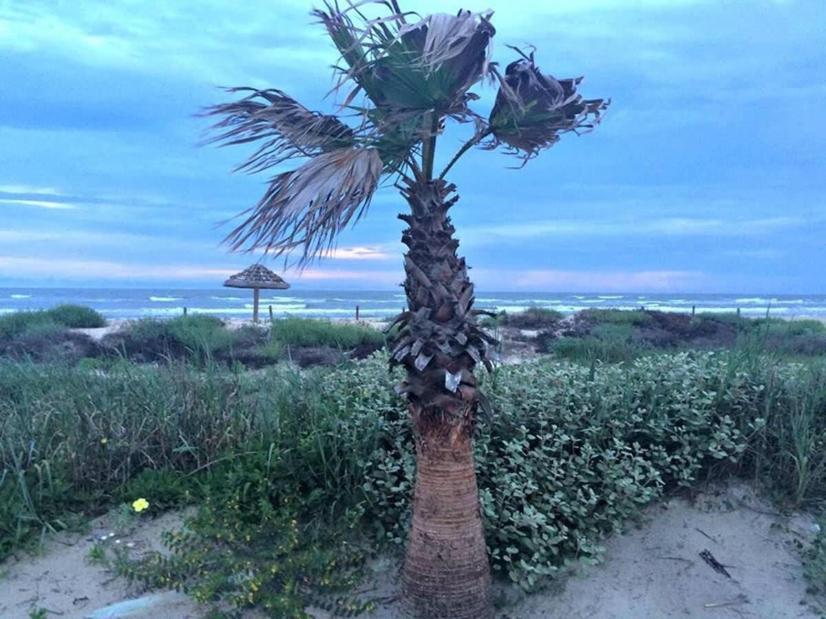 Fun In The Sun! Cozy Beach Pad, Gulf Views And Easy Access To The Sand! Surfside Beach Exterior foto